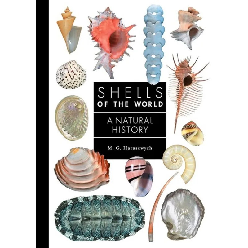 SHELLS OF THE WORLD