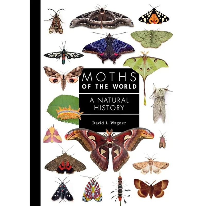 MOTHS OF THE WORLD - A NATURAL HISTORY