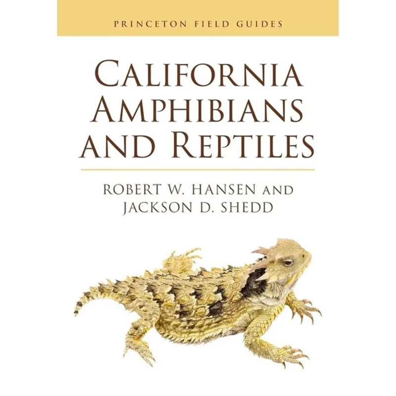 CALIFORNIA AMPHIBIANS AND REPTILES