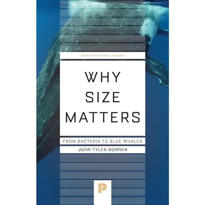 WHY SIZE MATTERS