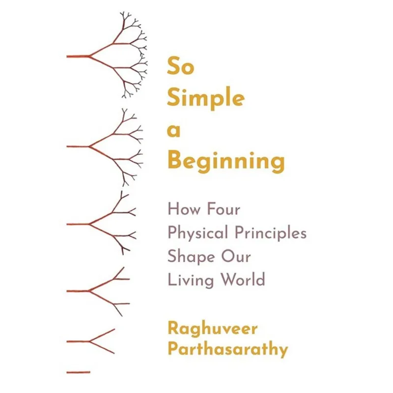 SO SIMPLE A BEGINNING