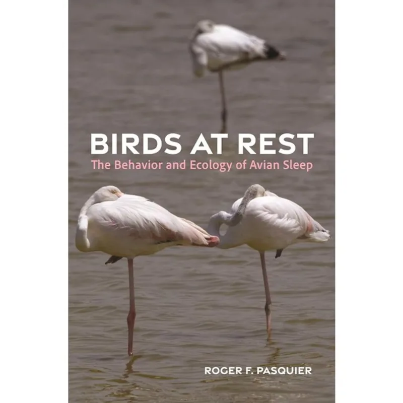 BIRDS AT REST