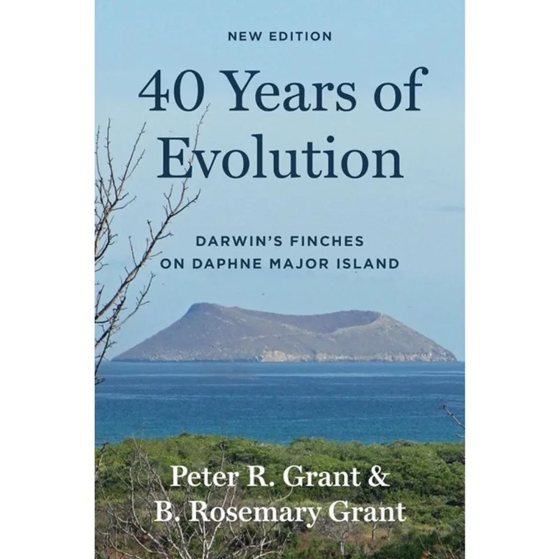 40 YEARS OF EVOLUTION