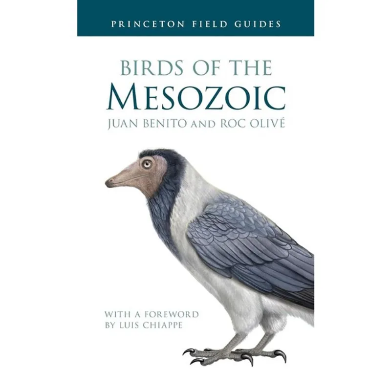BIRDS OF THE MESOZOIC