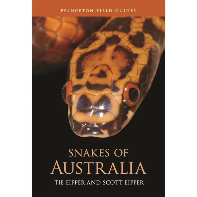 SNAKES OF AUSTRALIA