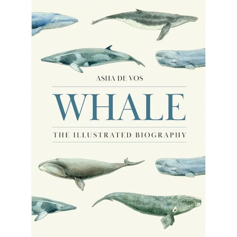 WHALE