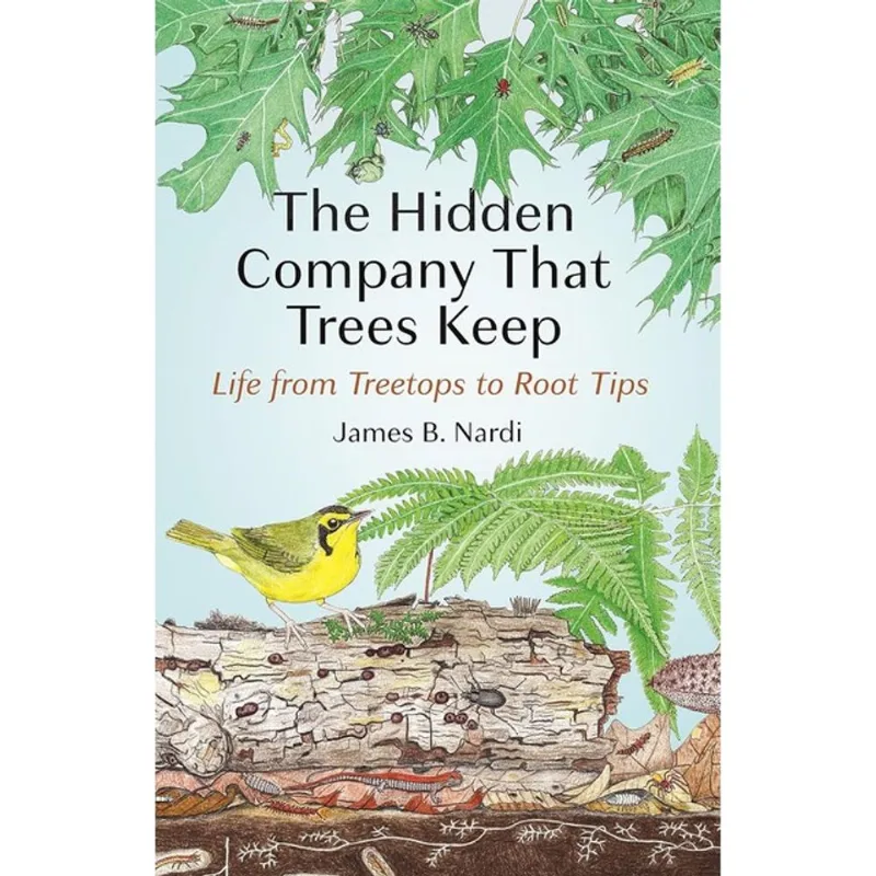 THE HIDDEN COMPANY THAT TREES KEEP