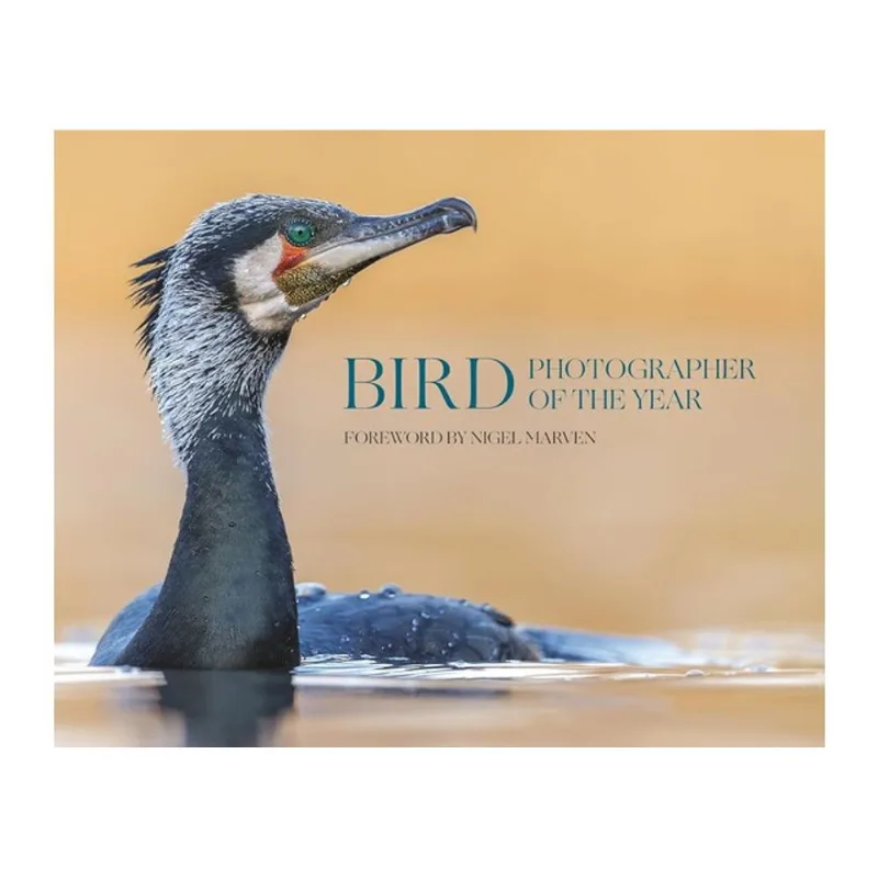 BIRD PHOTOGRAPHER OF THE YEAR - COLLECTION 10