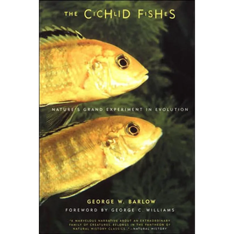 THE CICHLID FISHES