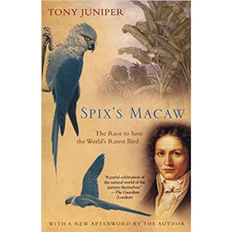 SPIX'S MACAW - THE RACE TO SAVE THE WORLD'S RAREST BIRD