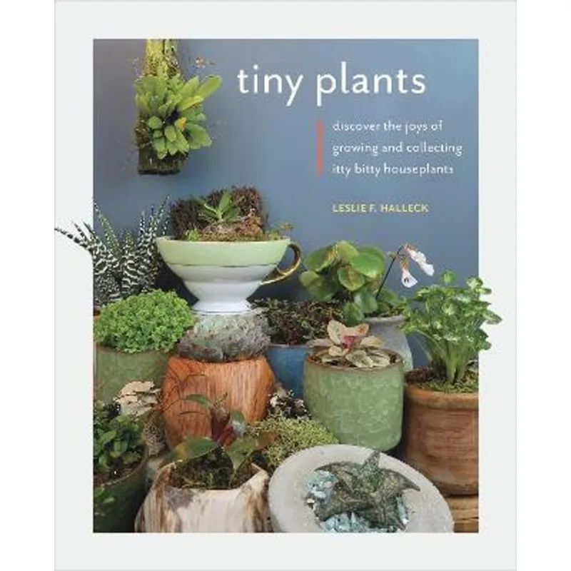 TINY PLANTS