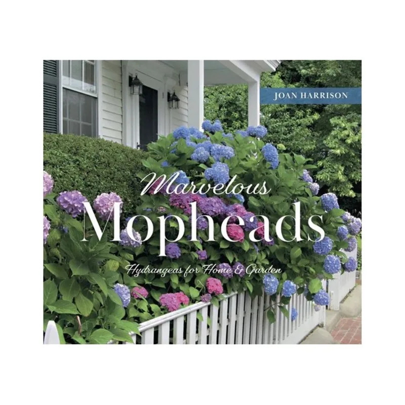 MARVELOUS MOPHEADS