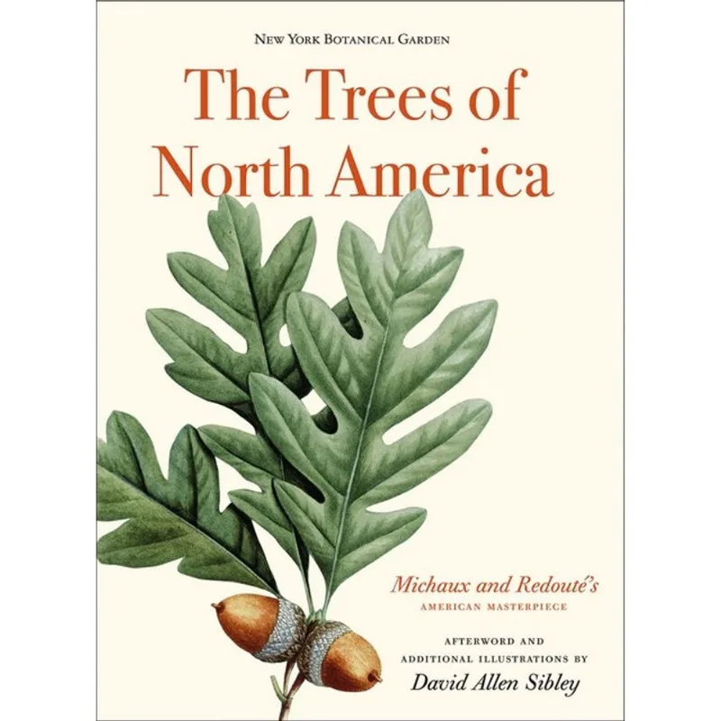 THE TREES OF NORTH AMERICA