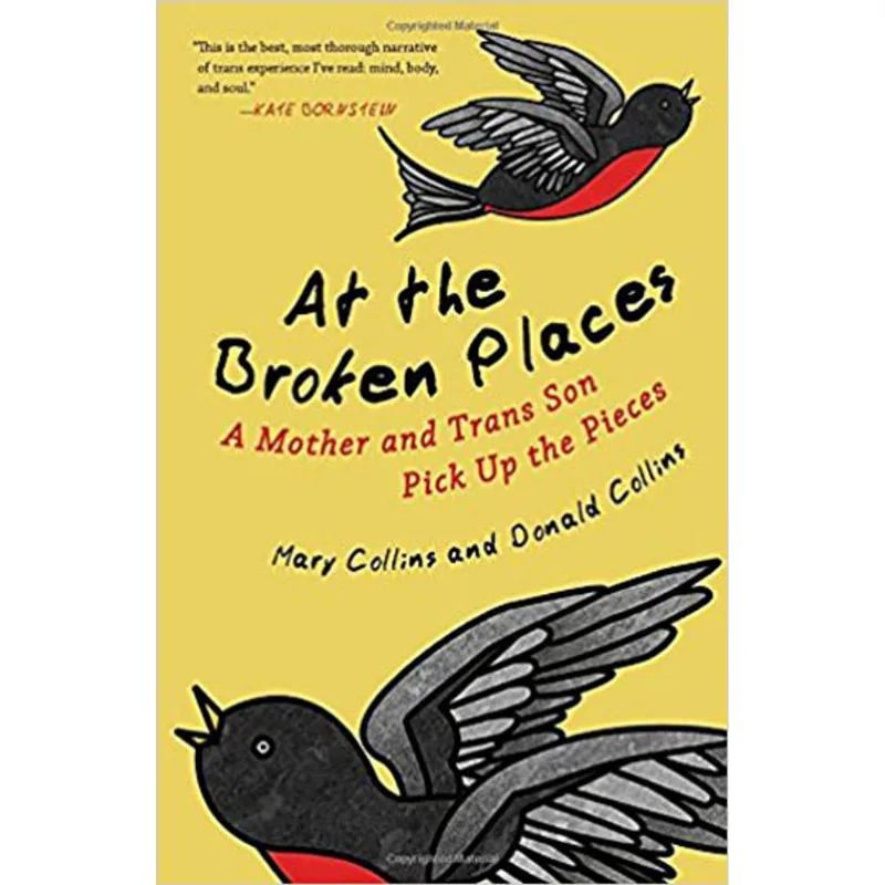 AT THE BROKEN PLACES - A MOTHER AND TRANS SON PICK UP THE PIECES