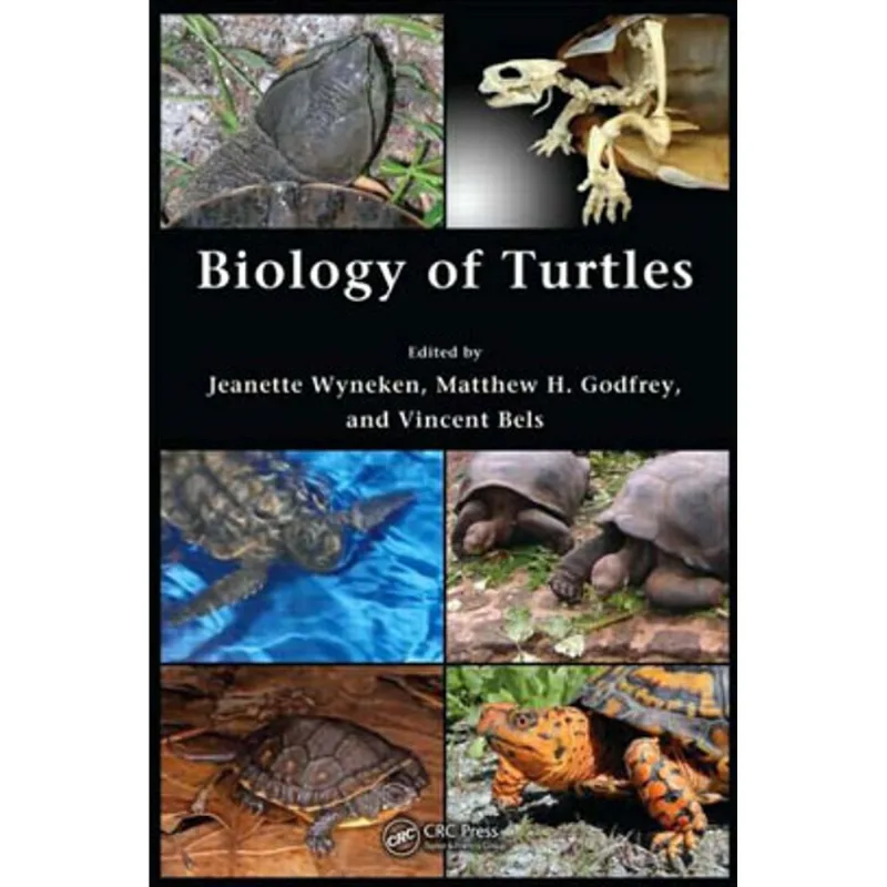 BIOLOGY OF TURTLES - FROM STRUCTURES TO STRATEGIES OF LIFE