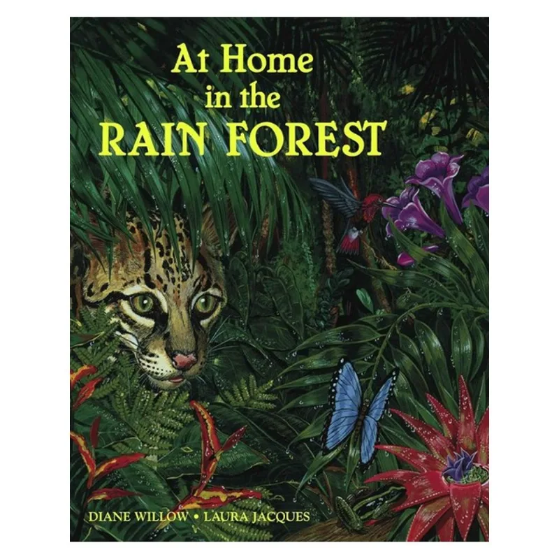 AT HOME IN THE RAIN FOREST