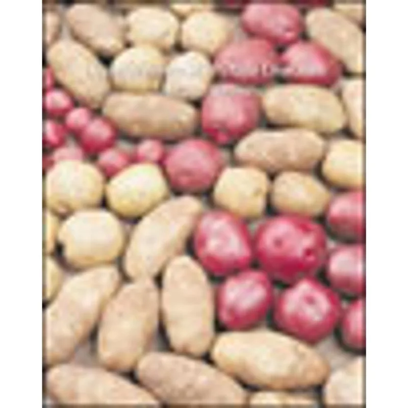 COMPENDIUM OF POTATO DISEASES