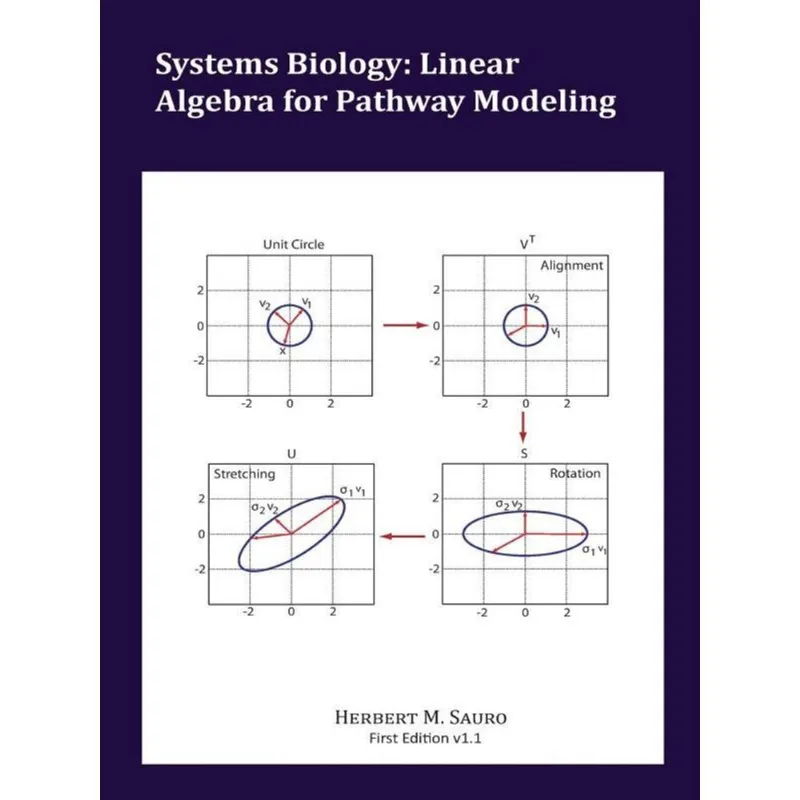 SYSTEMS BIOLOGY - LINEAR ALGEBRA FOR PATHWAY MODELING