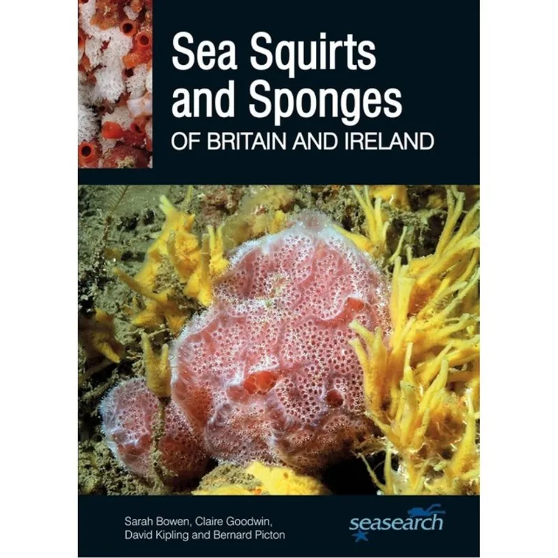 SEA SQUIRTS AND SEA SPONGES OF BRITAIN AND IRELAND