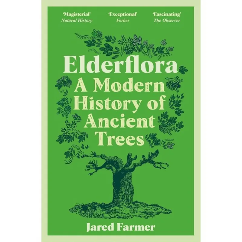 ELDERFLORA
