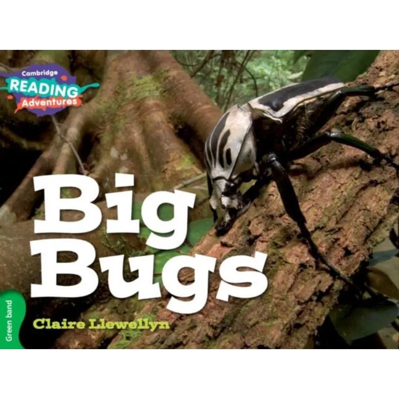 BIG BUGS