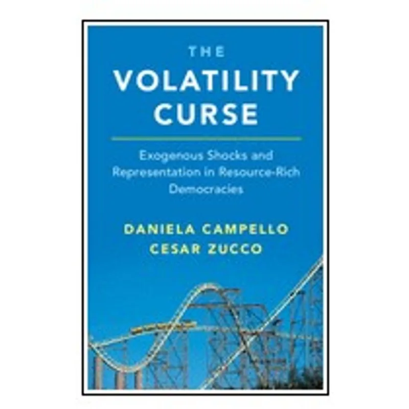 THE VOLATILITY CURSE