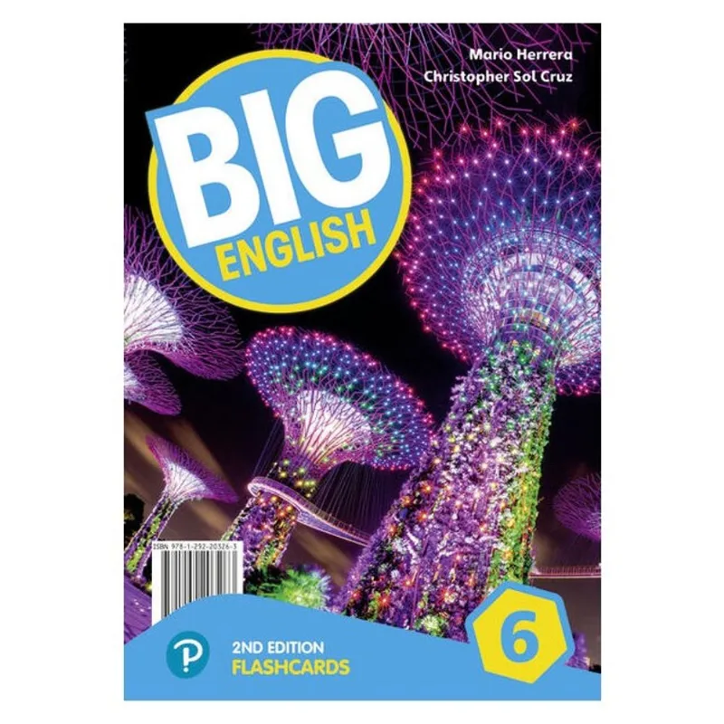 BIG ENGLISH (2ND EDITION) 6 FLASHCARDS