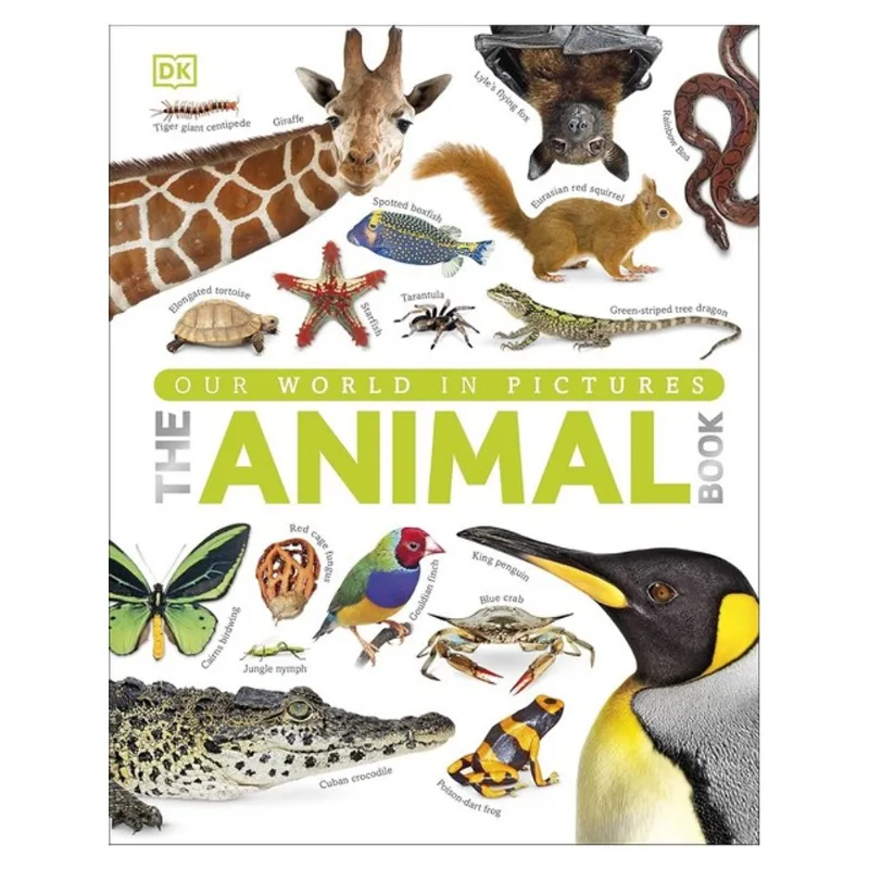 THE OUR WORLD IN PICTURES THE ANIMAL BOOK