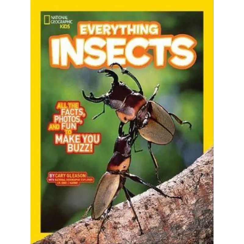 EVERYTHING INSECTS