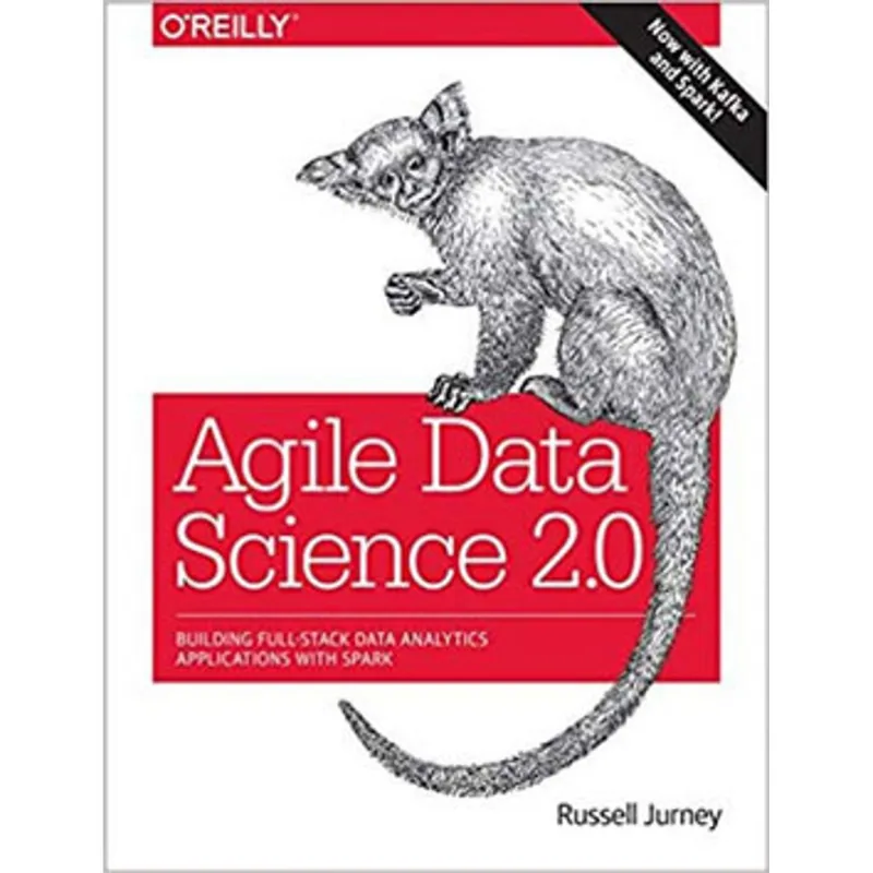 AGILE DATA SCIENCE 2.0