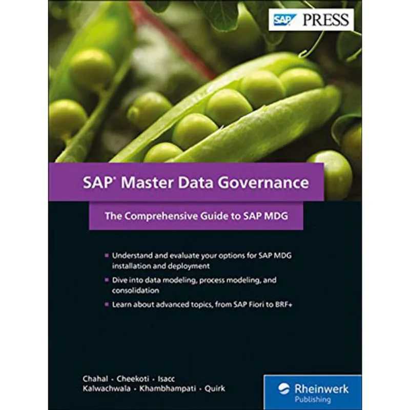 SAP MASTER DATA GOVERNANCE