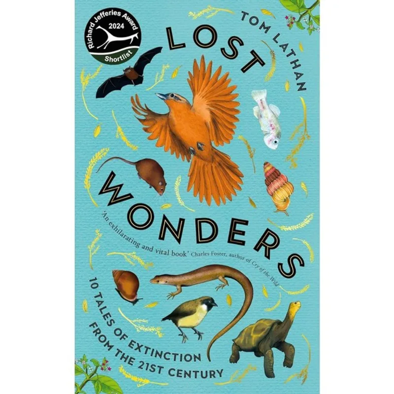 LOST WONDERS