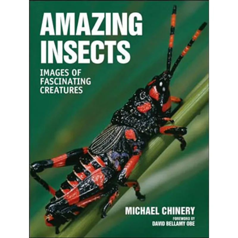 AMAZING INSECTS - IMAGES OF FASCINATING CREATURES