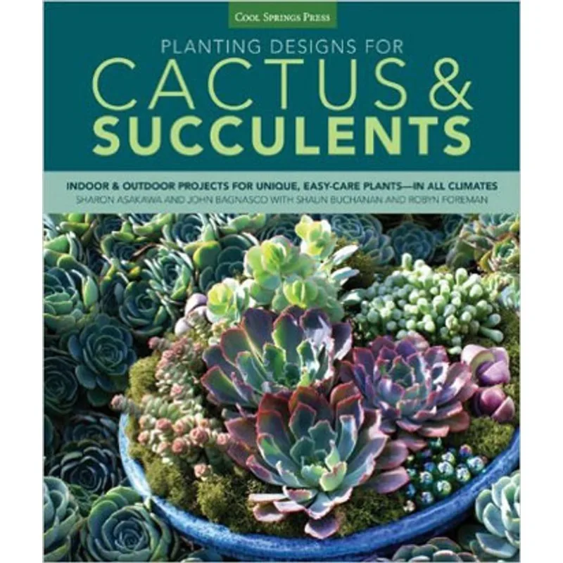 PLANTING DESIGNS FOR CACTUS AND SUCCULENTS