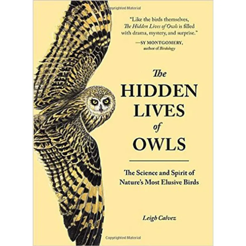 HIDDEN LIVES OF OWLS, THE