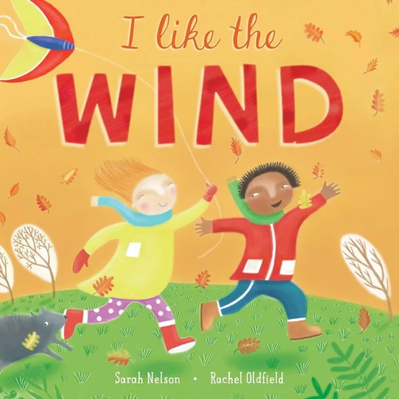 I LIKE THE WIND