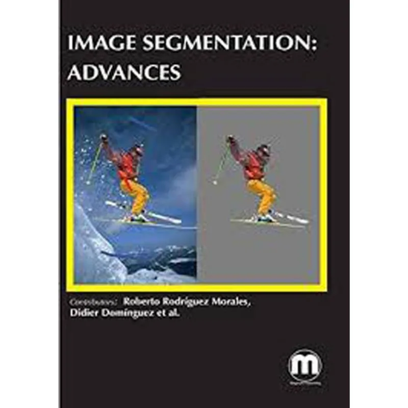 IMAGE SEGMENTATION - ADVANCES
