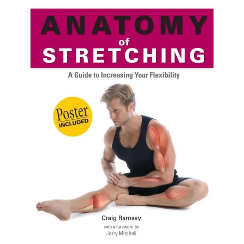 ANATOMY OF STRETCHING