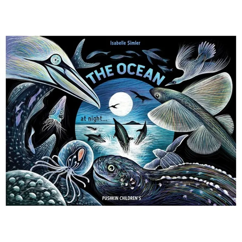 THE OCEAN AT NIGHT