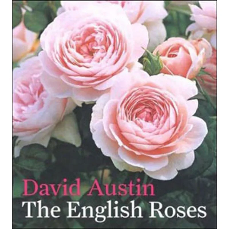 ENGLISH ROSES, THE
