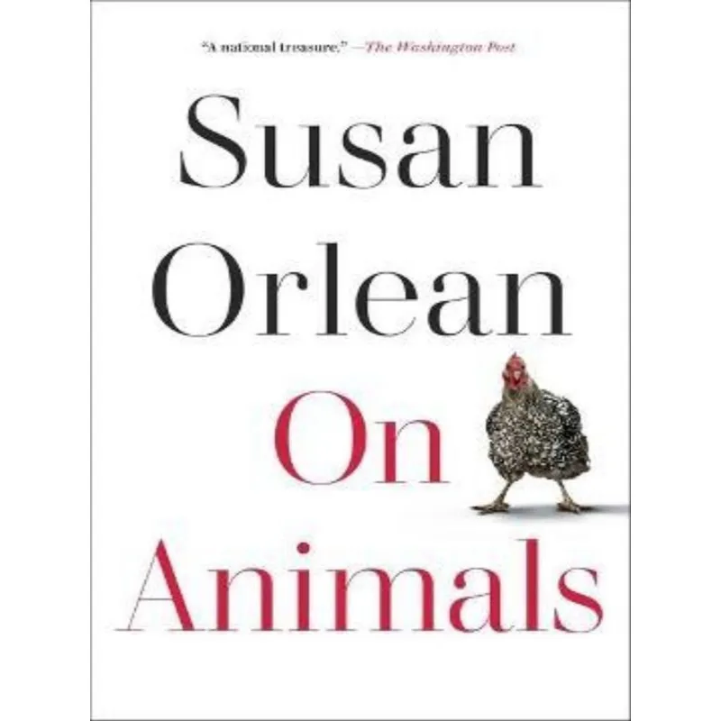 ON ANIMALS