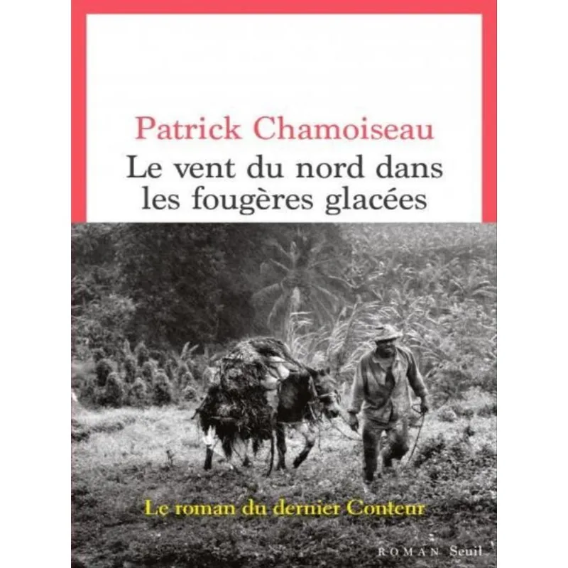 LE VENT DU NORD DANS LES FOUGÈRES GLACÉES