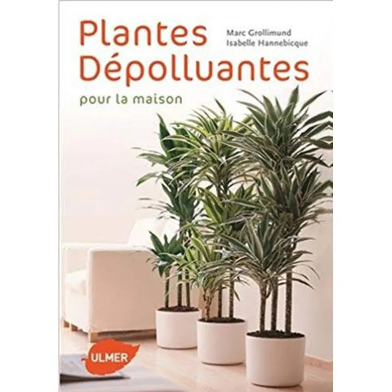 PLANTES DEPOLLUANTES POUR LA MAISON