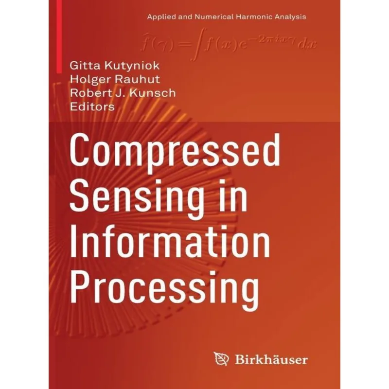 COMPRESSED SENSING IN INFORMATION PROCESSING