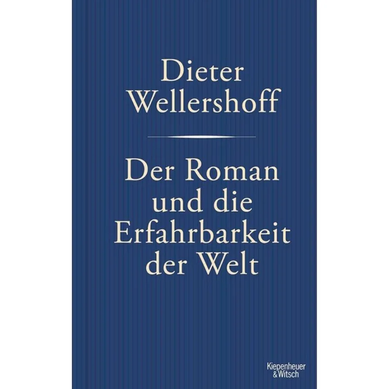 DER ROMAN UND DIE ERFAHRBARKEIT DER WELT
