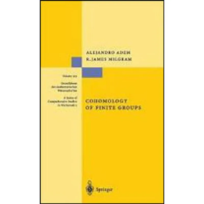 COHOMOLOGY OF FINITE GROUPS