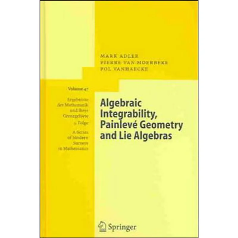 ALGEBRAIC INTEGRABILITY, PAINLEVE GEOMETRY AND LIE ALGEBRAS