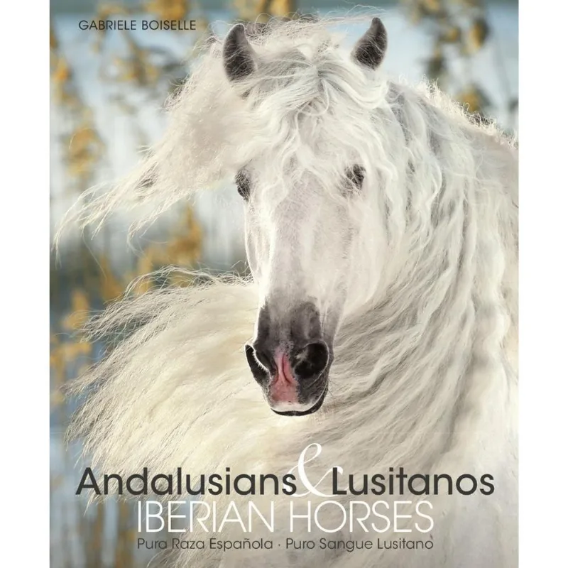 Andalusians E Lusitanos - Iberian Horses
