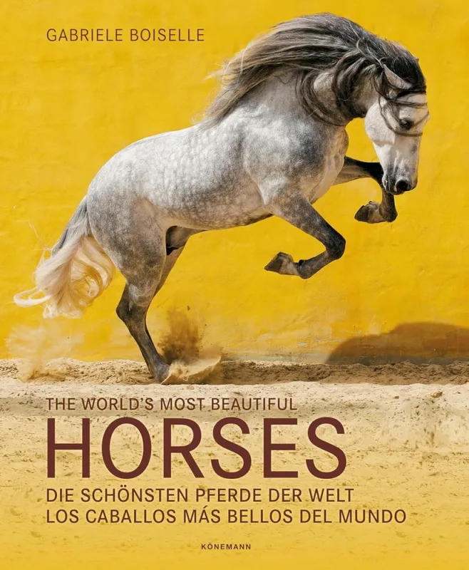 Horses - LC - Livros