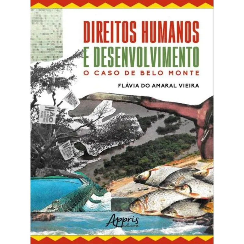DIREITOS HUMANOS E DESENVOLVIMENTO - O CASO DE BELO MONTE